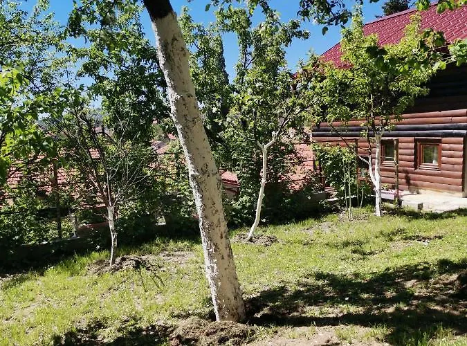 Natural And شقة *